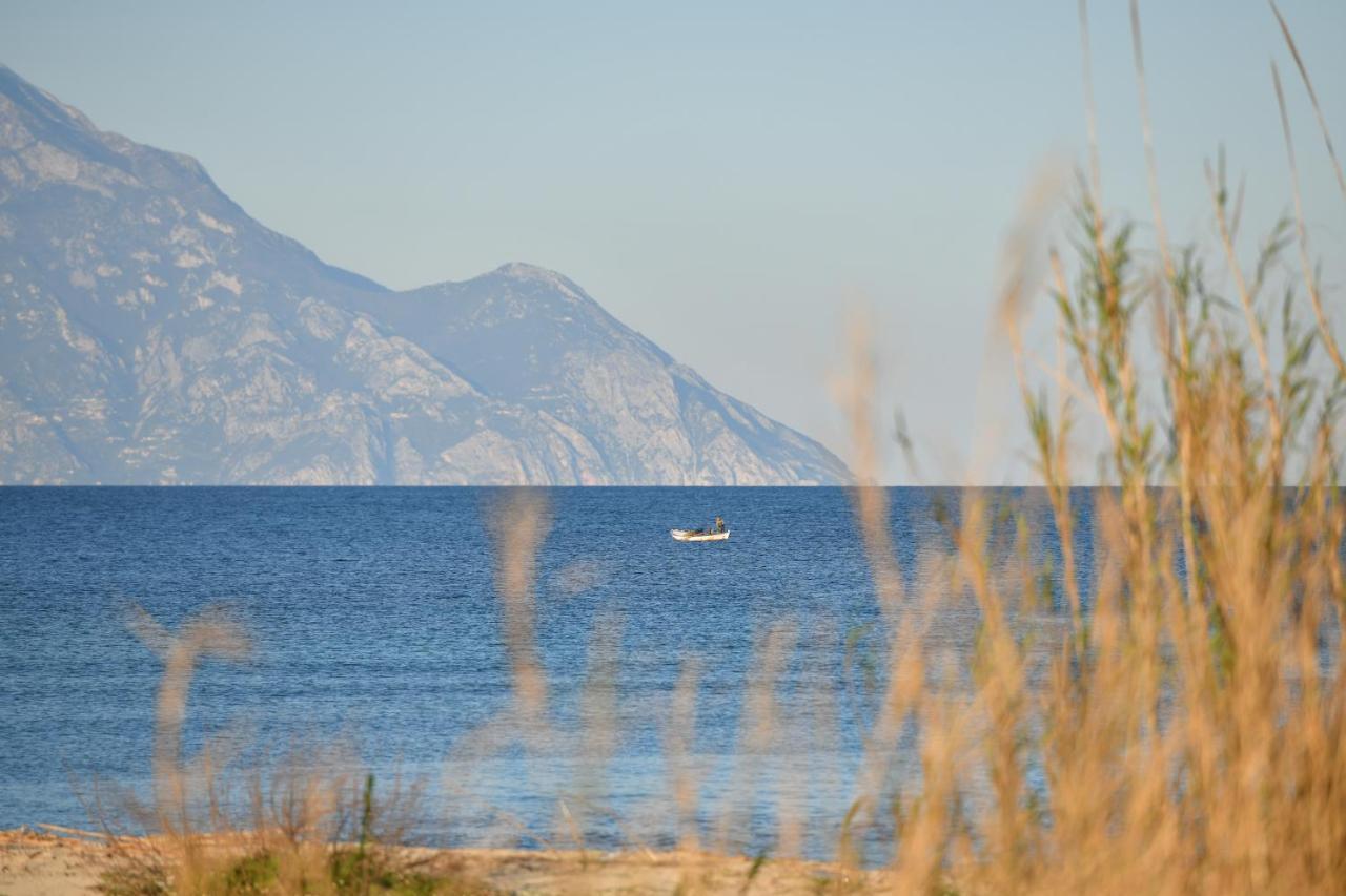 Villa Menie - Golden Fig Sykia Lodge Paralia Sikias Bagian luar foto