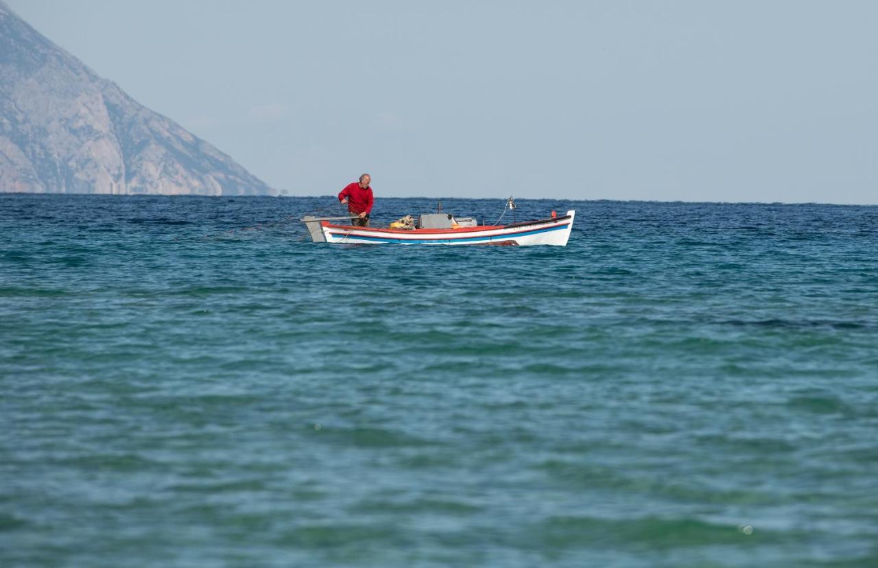 Villa Menie - Golden Fig Sykia Lodge Paralia Sikias Bagian luar foto